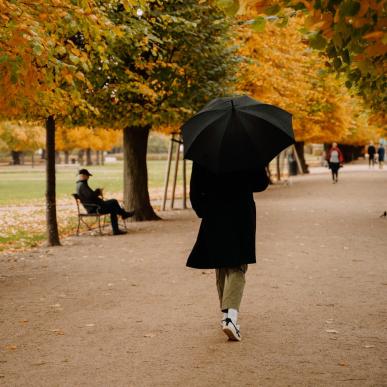 Autumn - Kongens Have